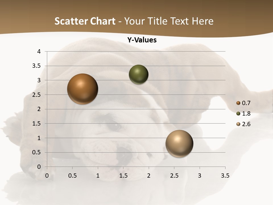 Upside Young Pet PowerPoint Template