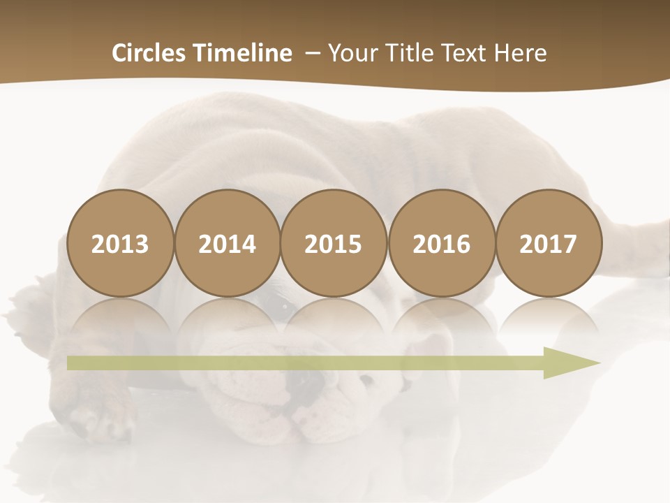 Upside Young Pet PowerPoint Template