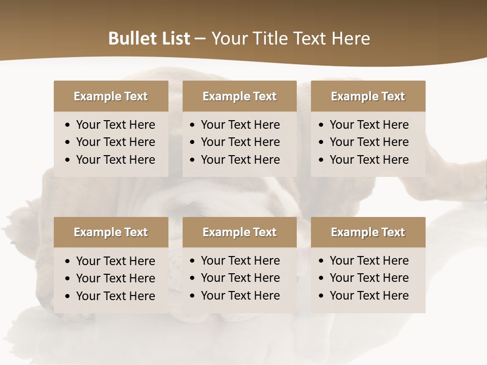 Upside Young Pet PowerPoint Template