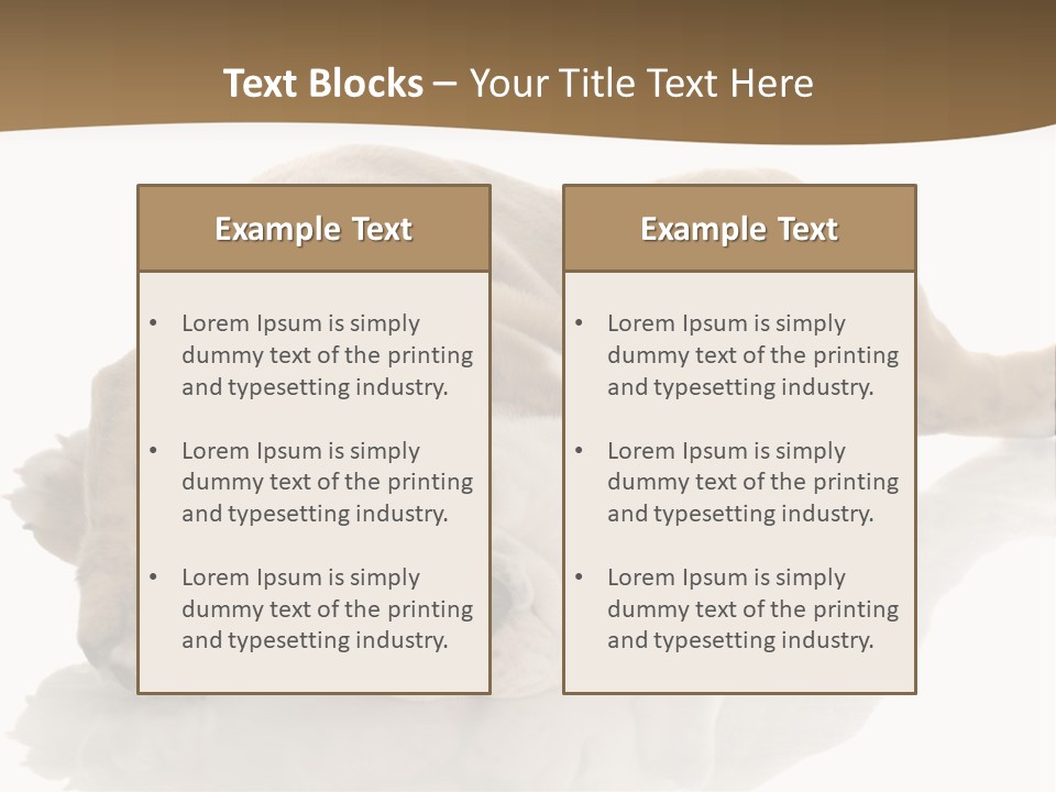 Upside Young Pet PowerPoint Template