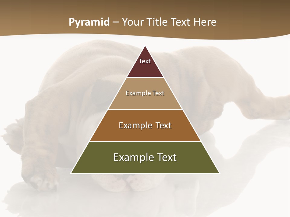 Upside Young Pet PowerPoint Template