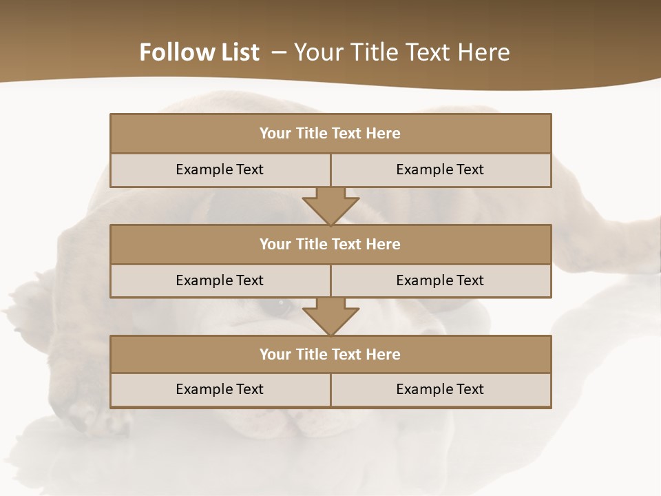 Upside Young Pet PowerPoint Template