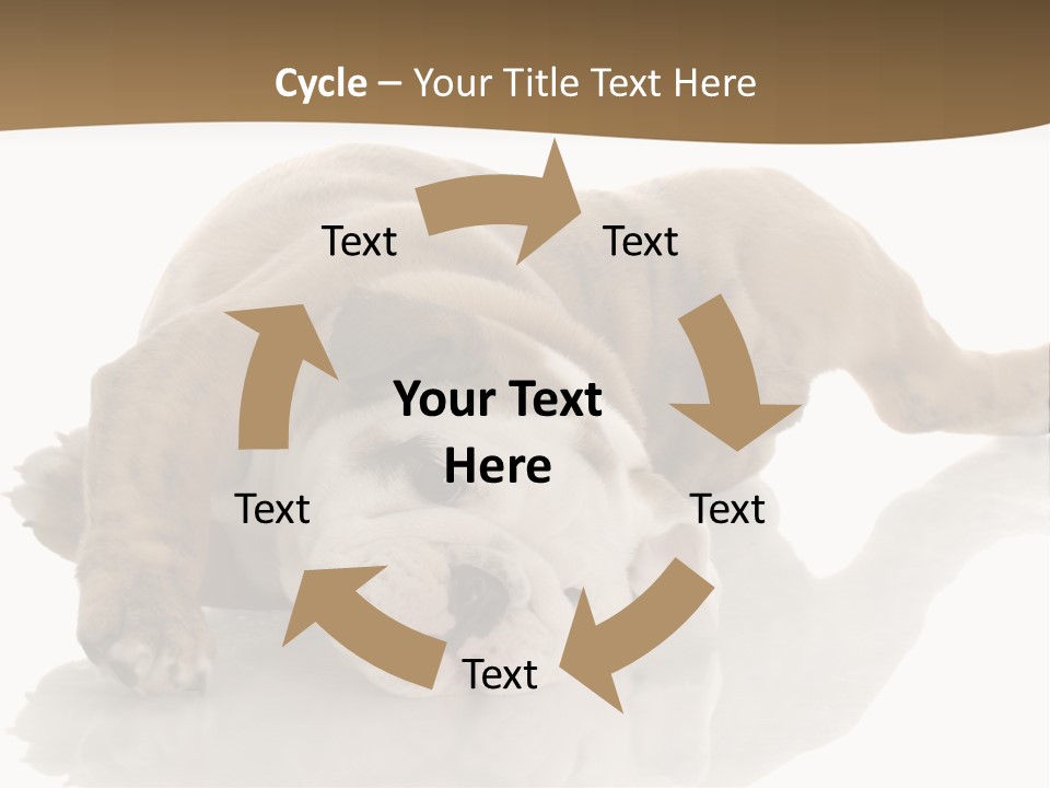 Upside Young Pet PowerPoint Template