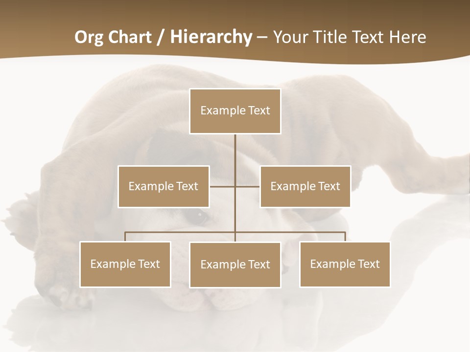 Upside Young Pet PowerPoint Template