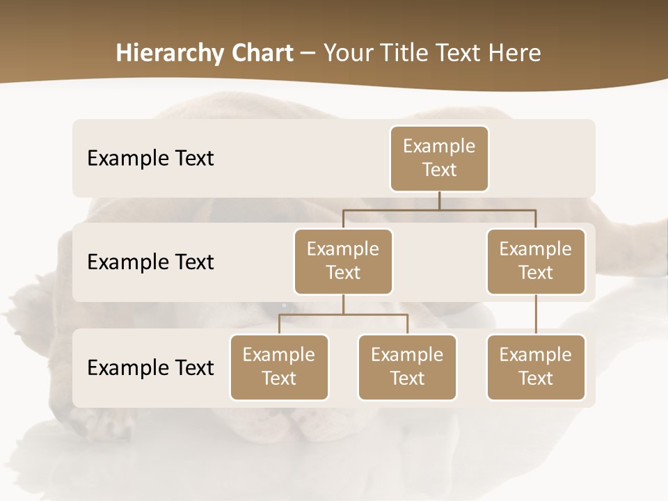 Upside Young Pet PowerPoint Template