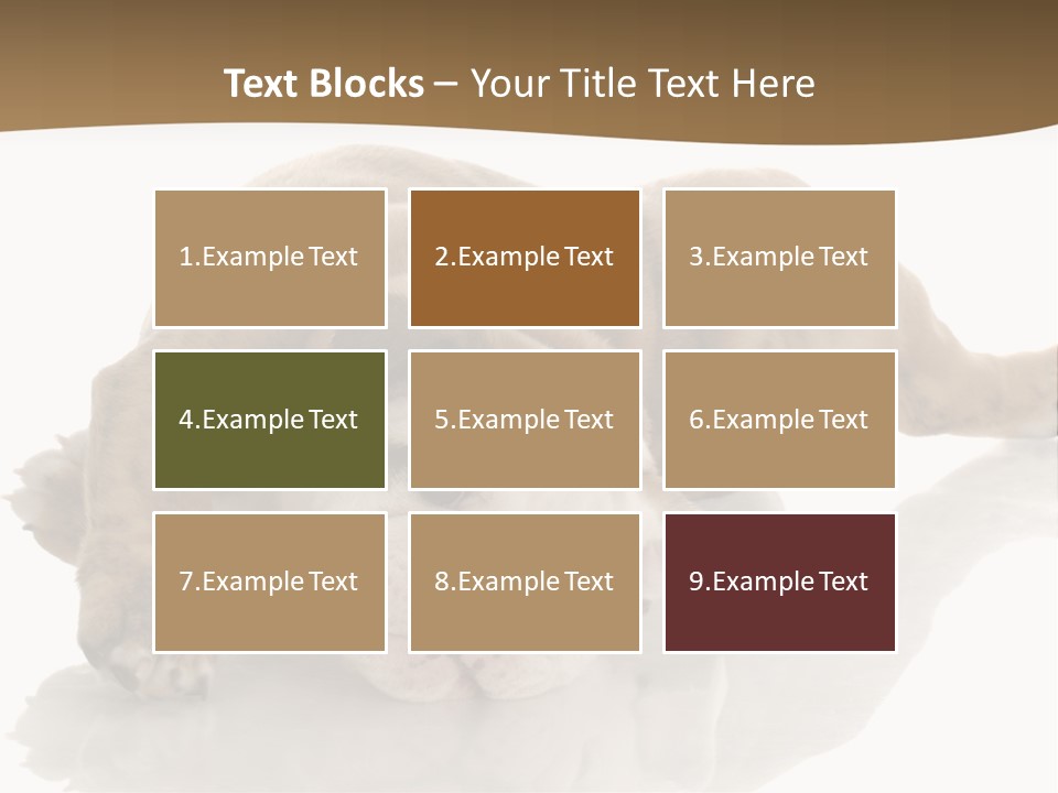 Upside Young Pet PowerPoint Template