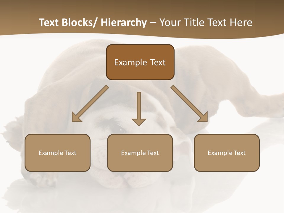 Upside Young Pet PowerPoint Template