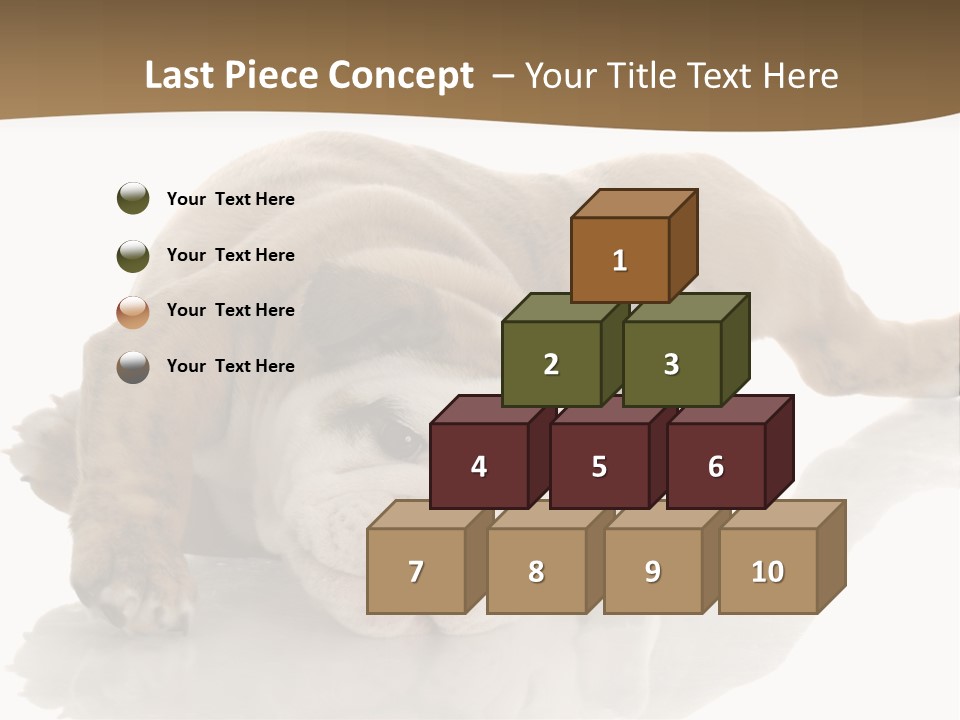 Upside Young Pet PowerPoint Template