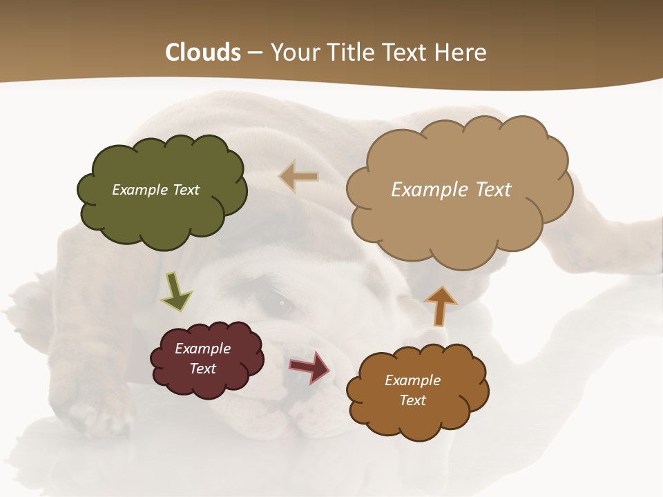 Upside Young Pet PowerPoint Template