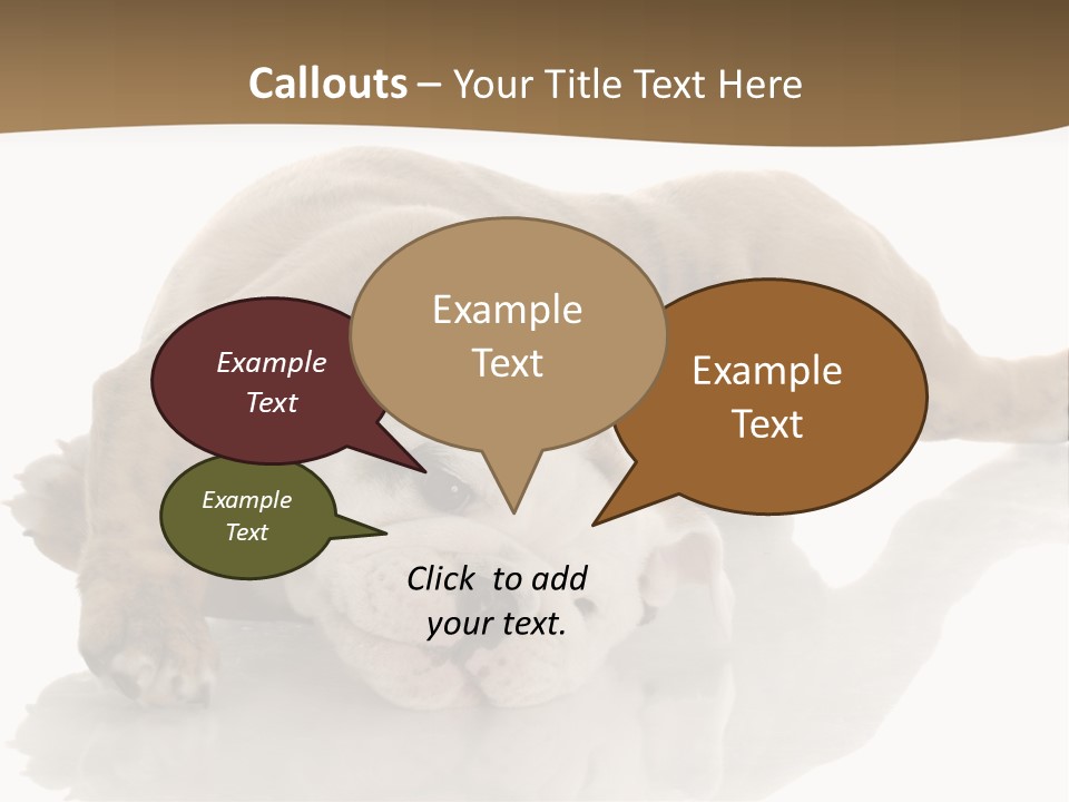 Upside Young Pet PowerPoint Template