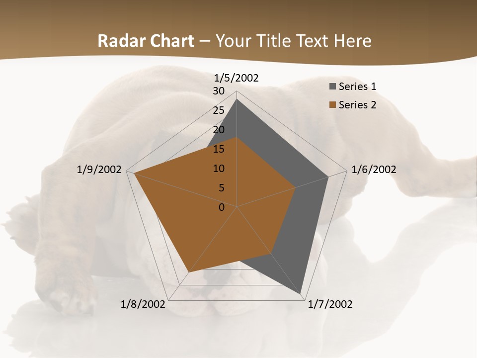 Upside Young Pet PowerPoint Template