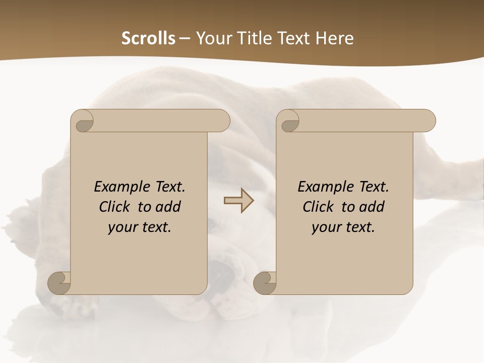 Upside Young Pet PowerPoint Template
