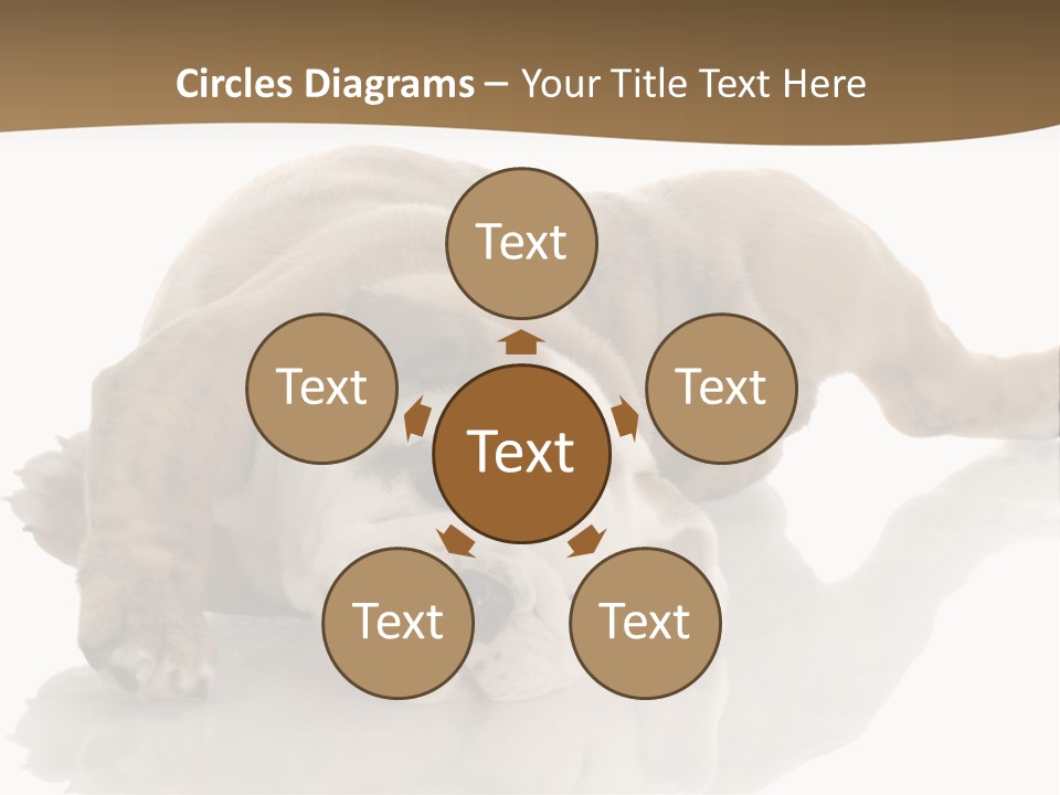 Upside Young Pet PowerPoint Template