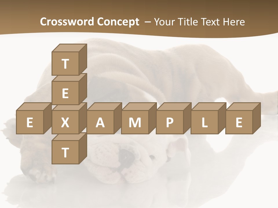 Upside Young Pet PowerPoint Template