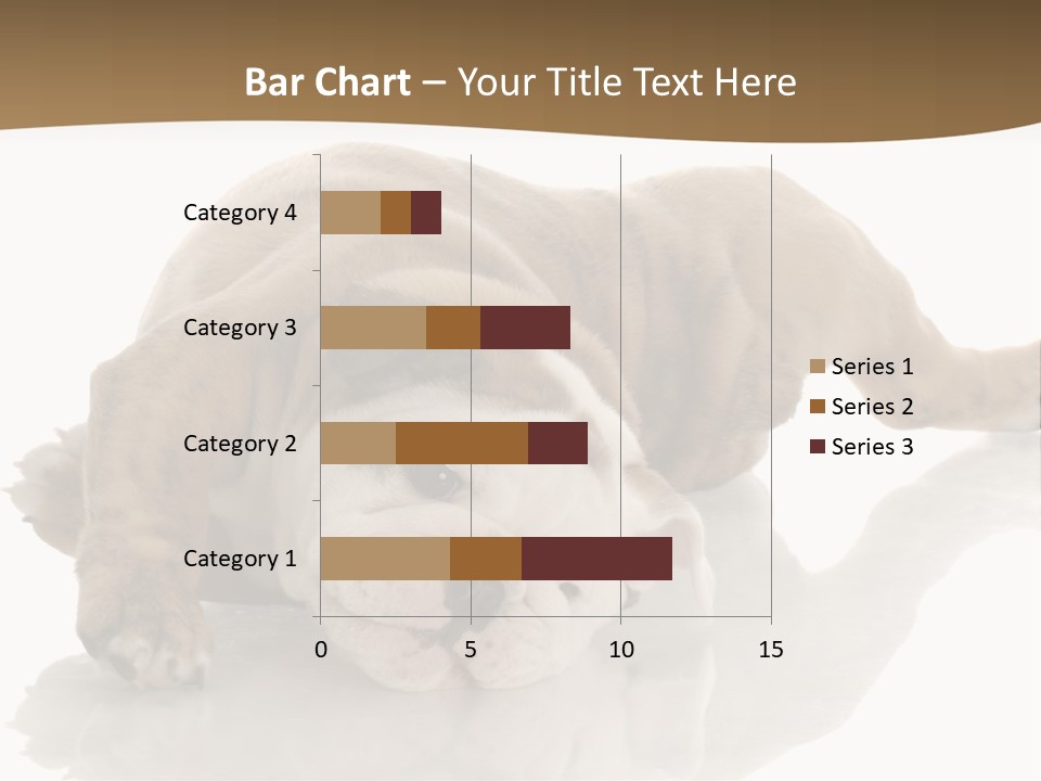 Upside Young Pet PowerPoint Template