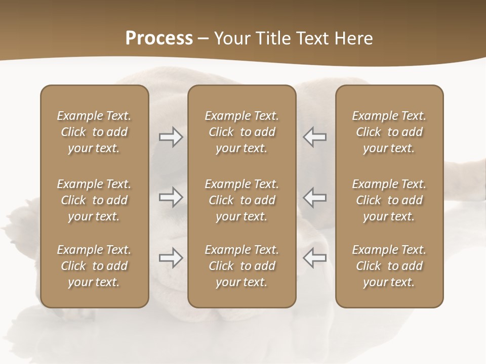 Upside Young Pet PowerPoint Template