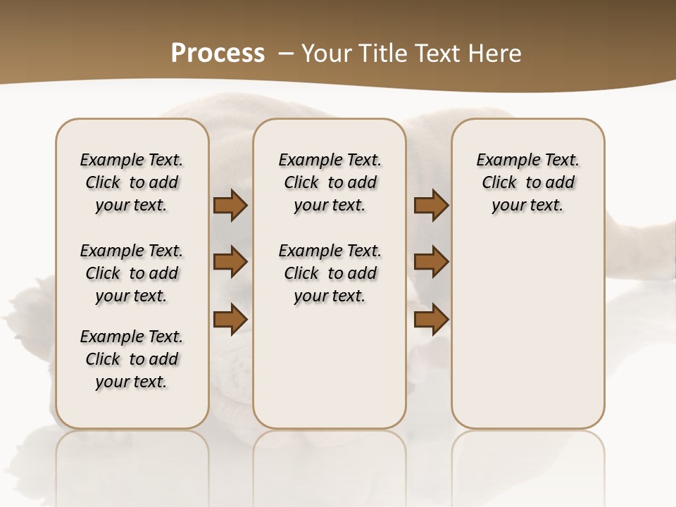 Upside Young Pet PowerPoint Template