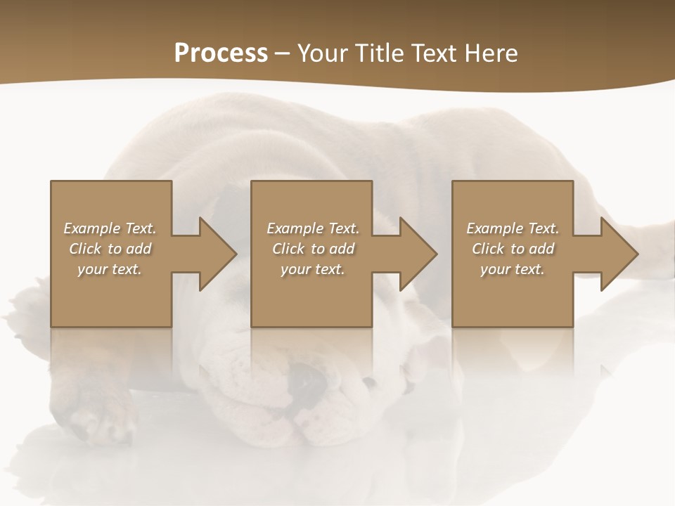 Upside Young Pet PowerPoint Template