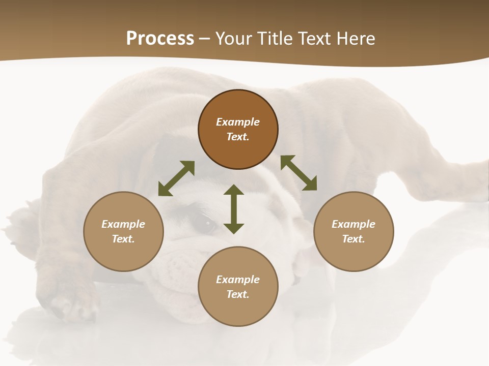 Upside Young Pet PowerPoint Template