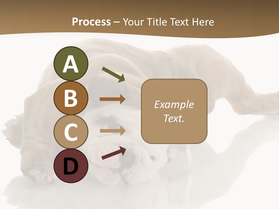 Upside Young Pet PowerPoint Template