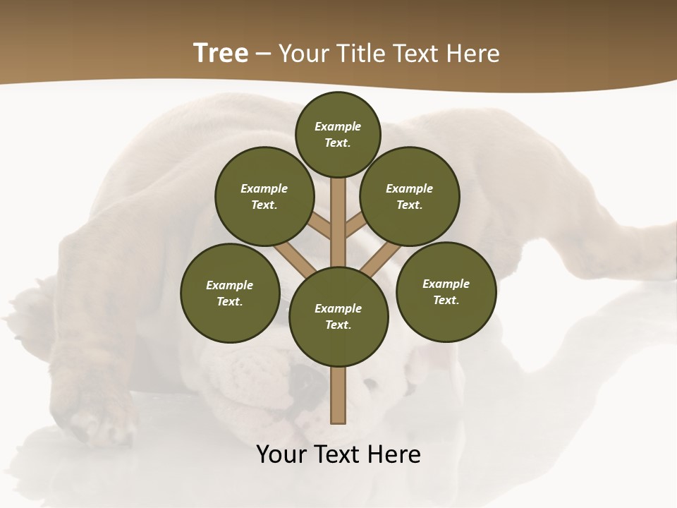 Upside Young Pet PowerPoint Template