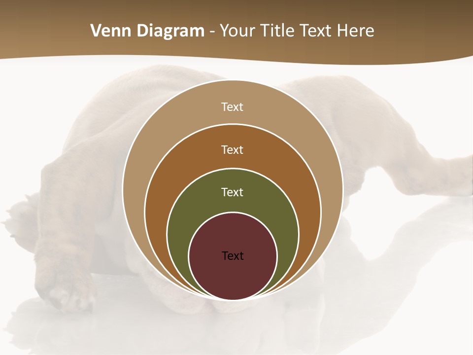 Upside Young Pet PowerPoint Template