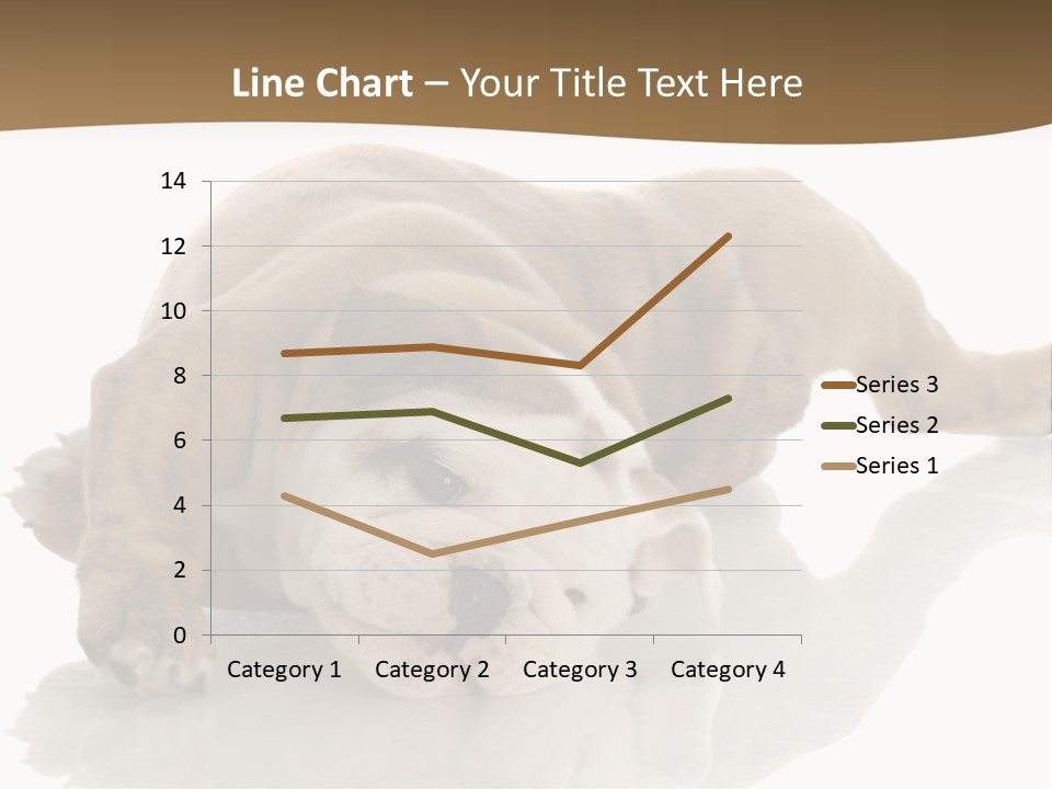 Upside Young Pet PowerPoint Template