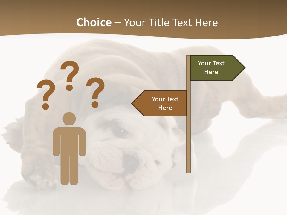 Upside Young Pet PowerPoint Template