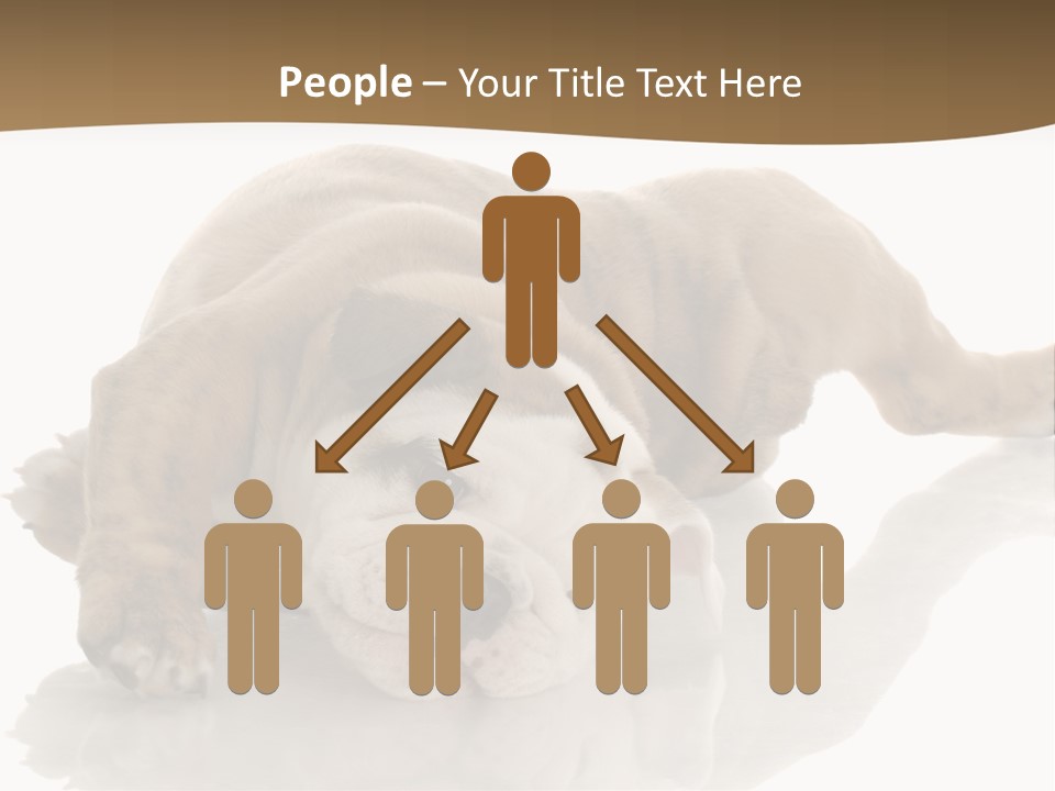 Upside Young Pet PowerPoint Template