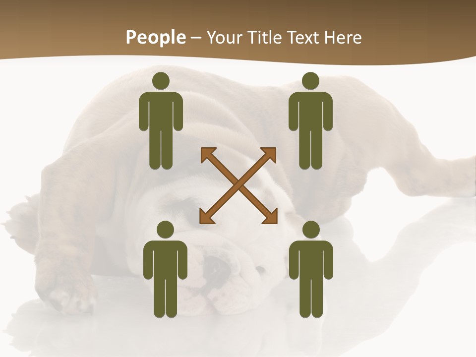 Upside Young Pet PowerPoint Template