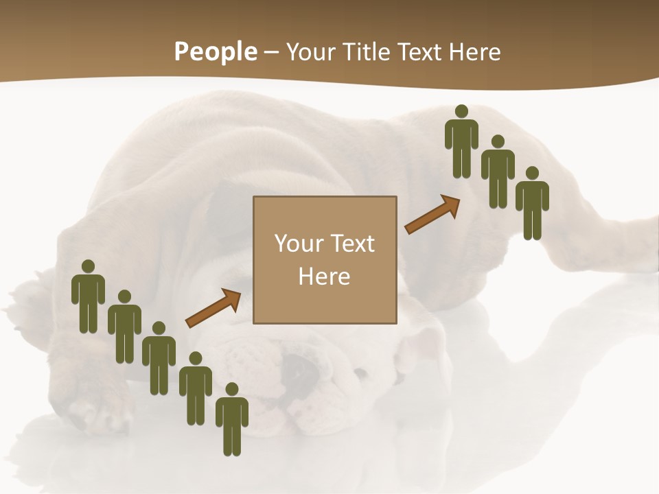 Upside Young Pet PowerPoint Template