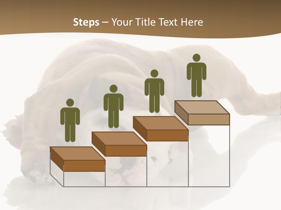 Upside Young Pet PowerPoint Template