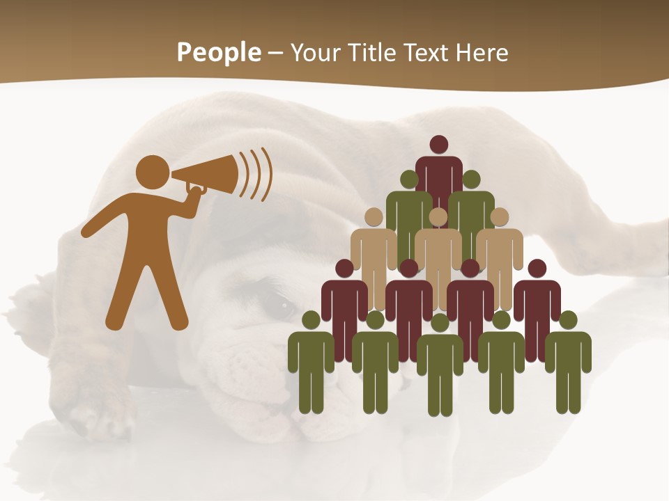 Upside Young Pet PowerPoint Template