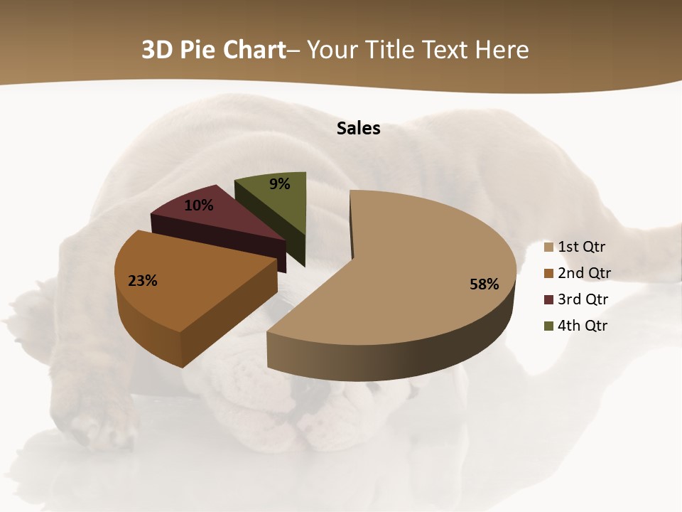 Upside Young Pet PowerPoint Template