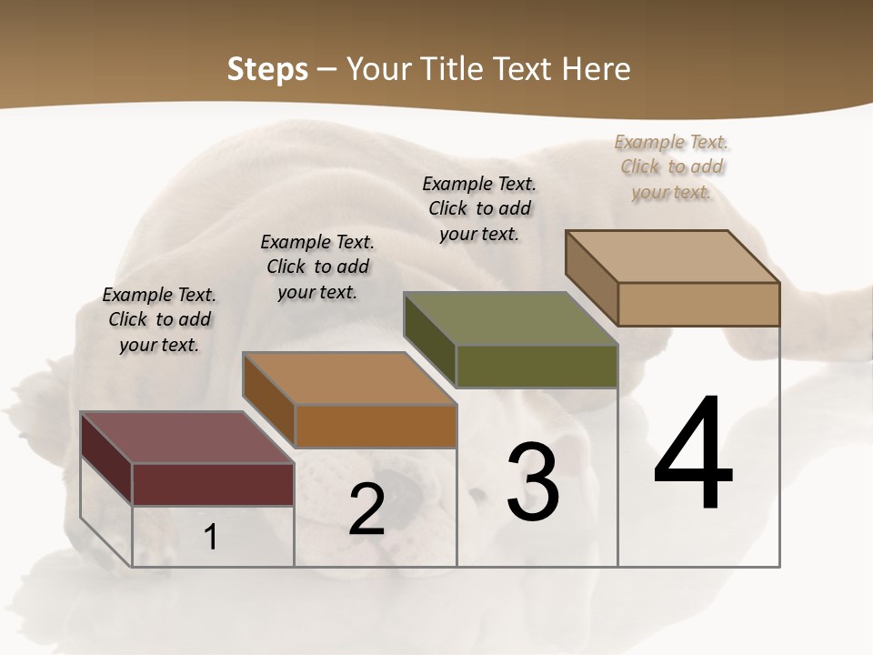 Upside Young Pet PowerPoint Template