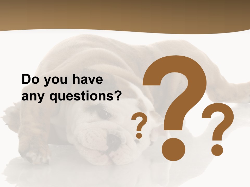 Upside Young Pet PowerPoint Template