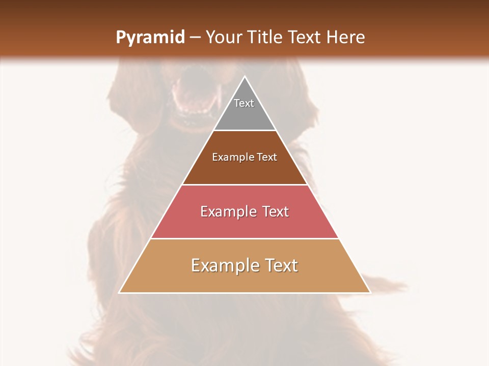 Red Friend Portrait PowerPoint Template