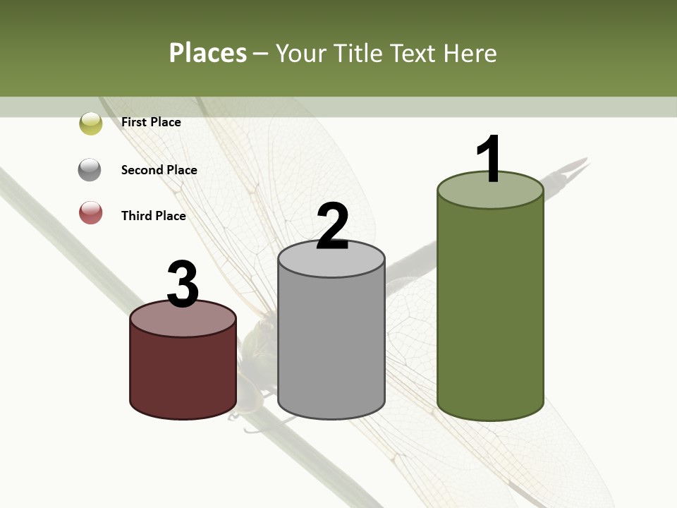 Shot Anax People PowerPoint Template