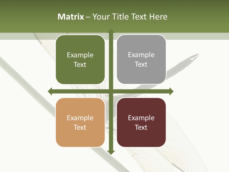 Shot Anax People PowerPoint Template