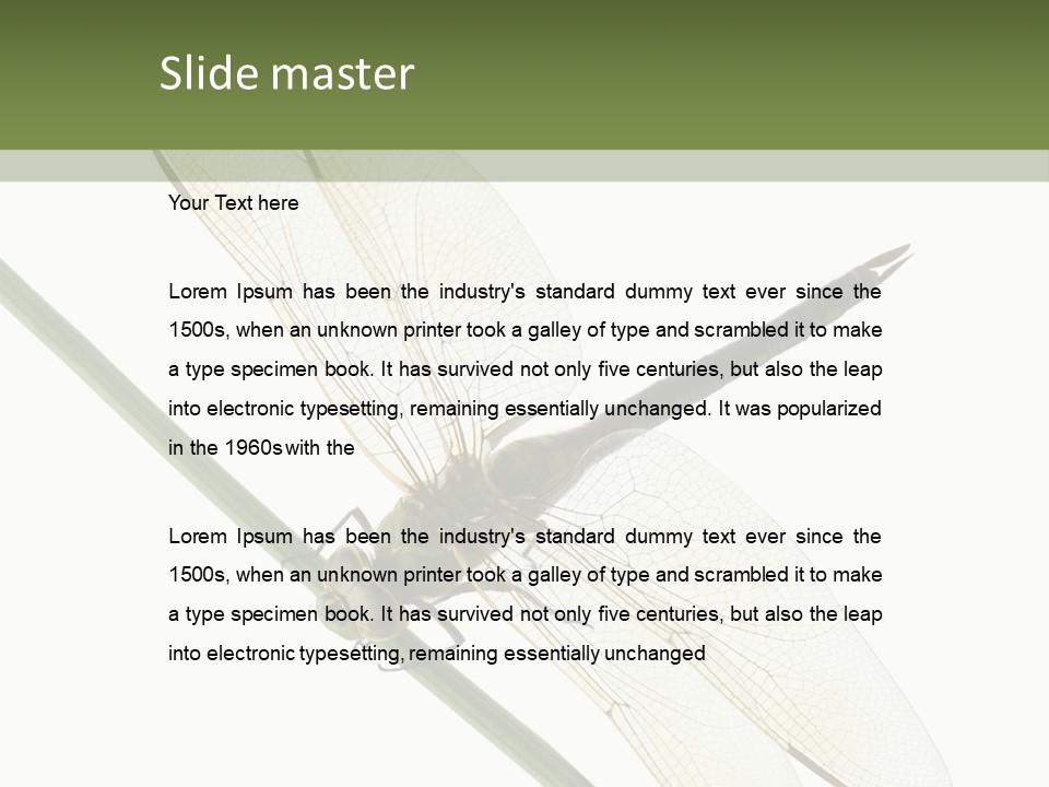 Shot Anax People PowerPoint Template