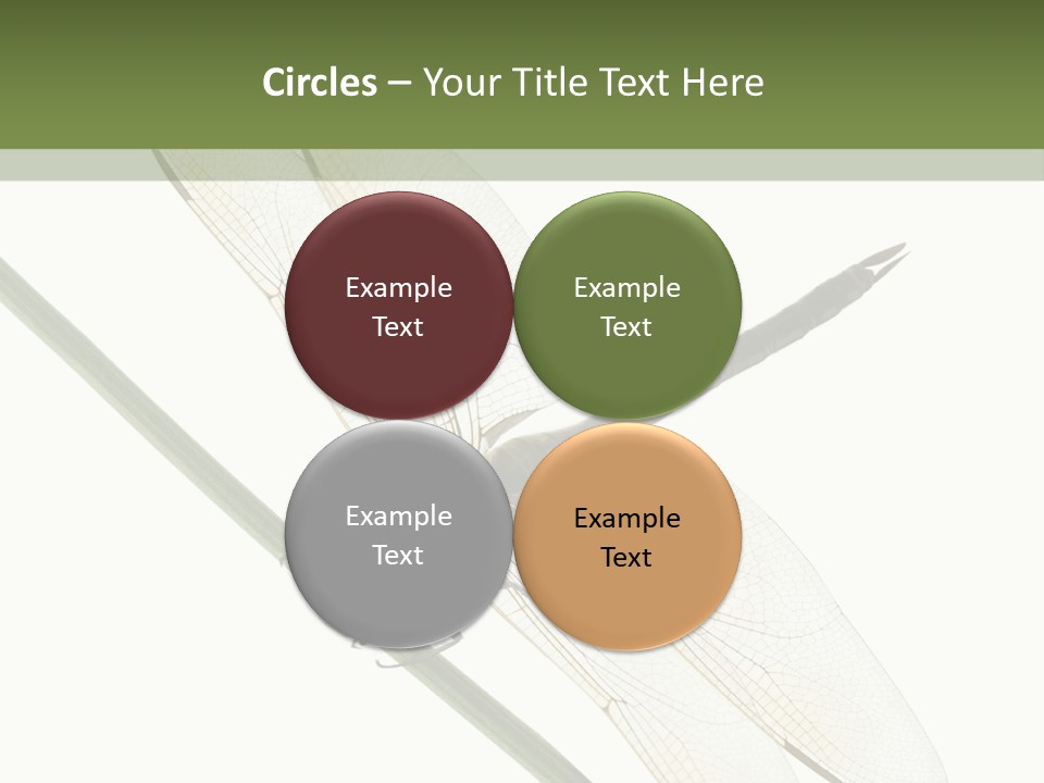 Shot Anax People PowerPoint Template