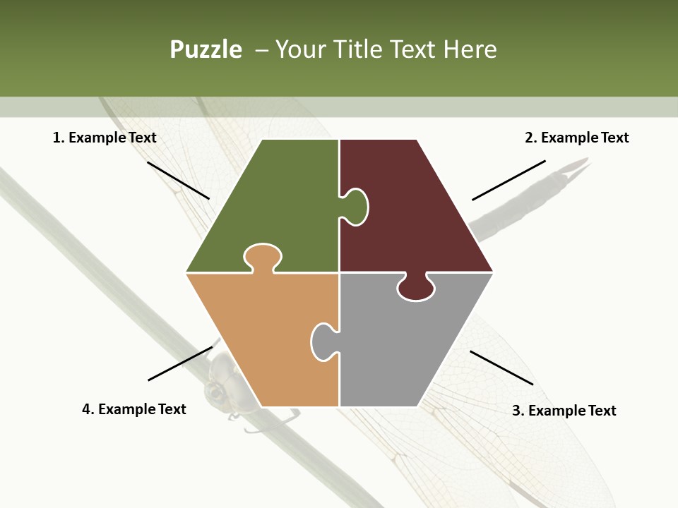 Shot Anax People PowerPoint Template