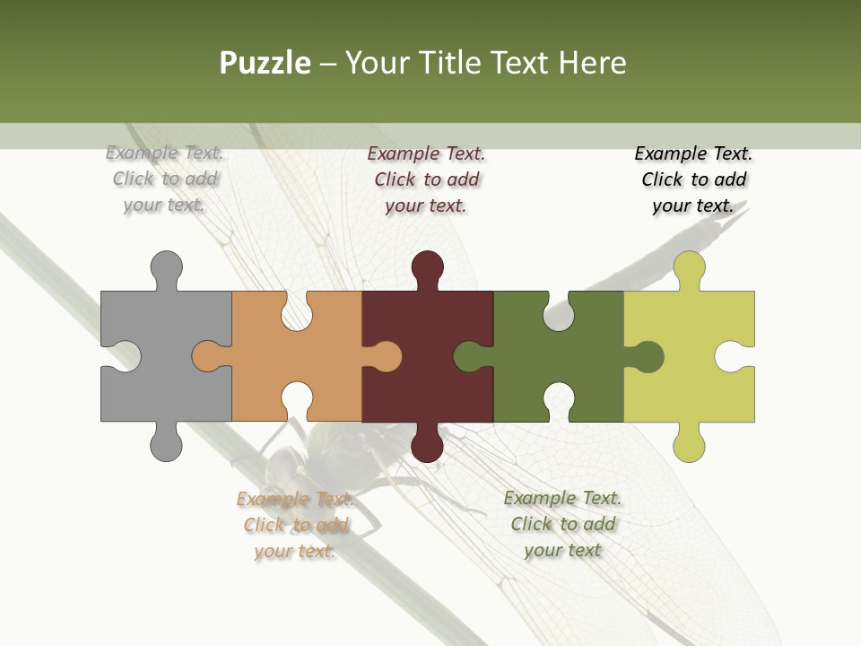 Shot Anax People PowerPoint Template