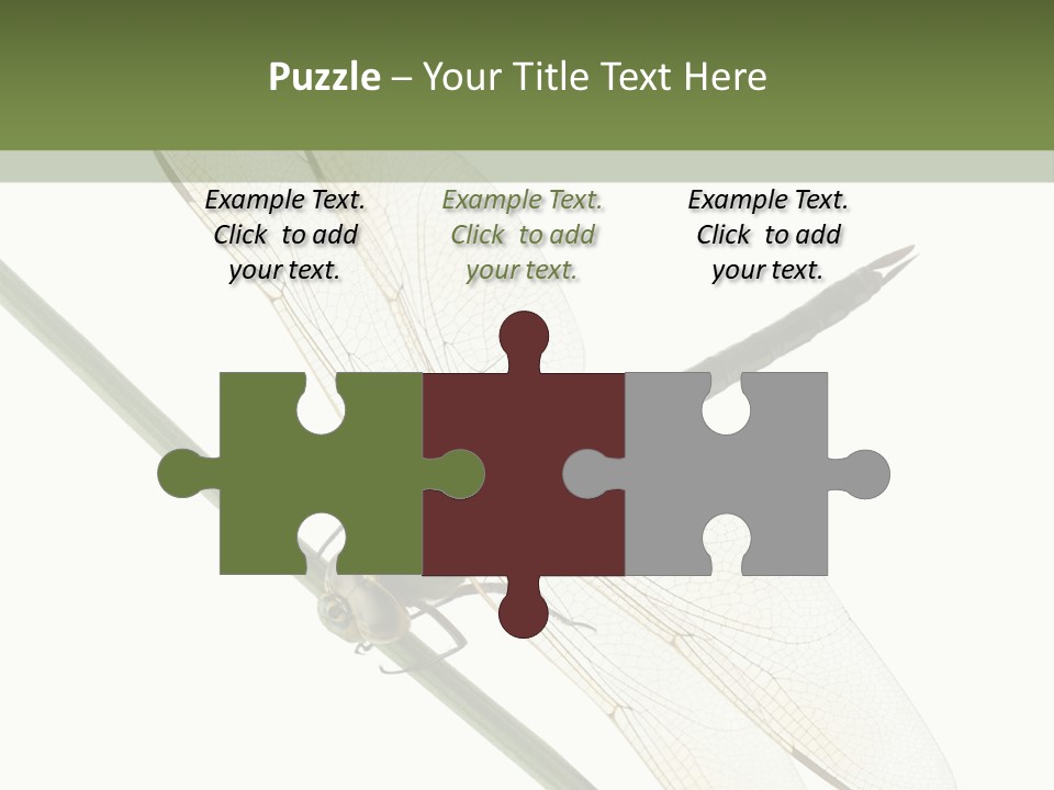 Shot Anax People PowerPoint Template