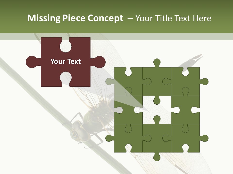 Shot Anax People PowerPoint Template