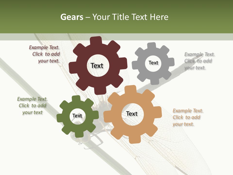 Shot Anax People PowerPoint Template