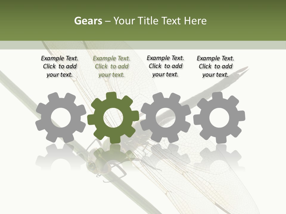 Shot Anax People PowerPoint Template