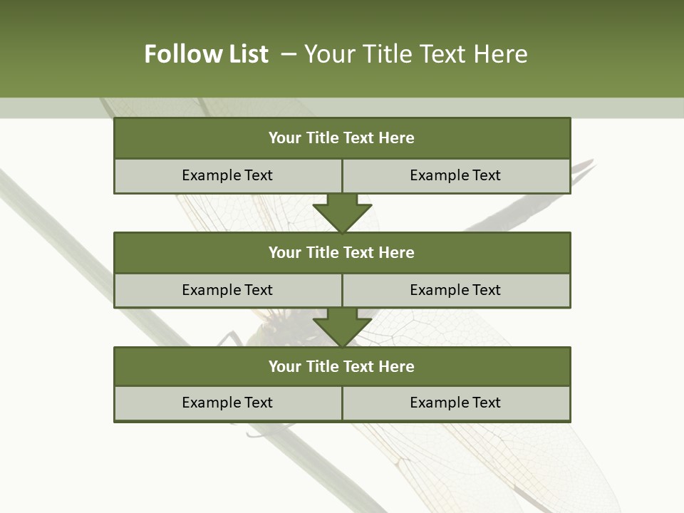 Shot Anax People PowerPoint Template