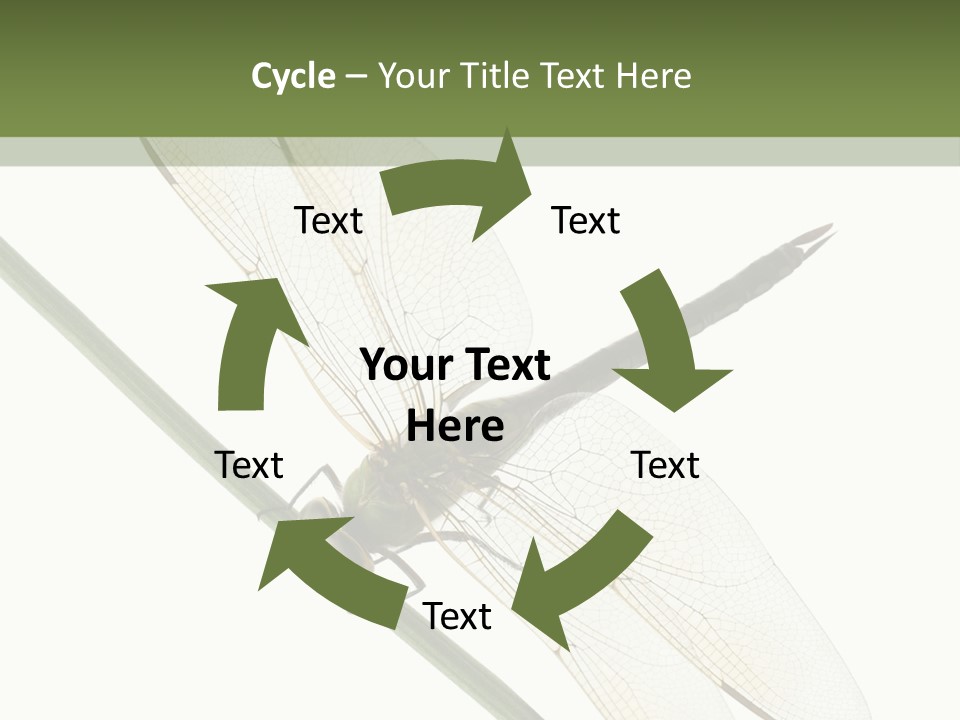 Shot Anax People PowerPoint Template