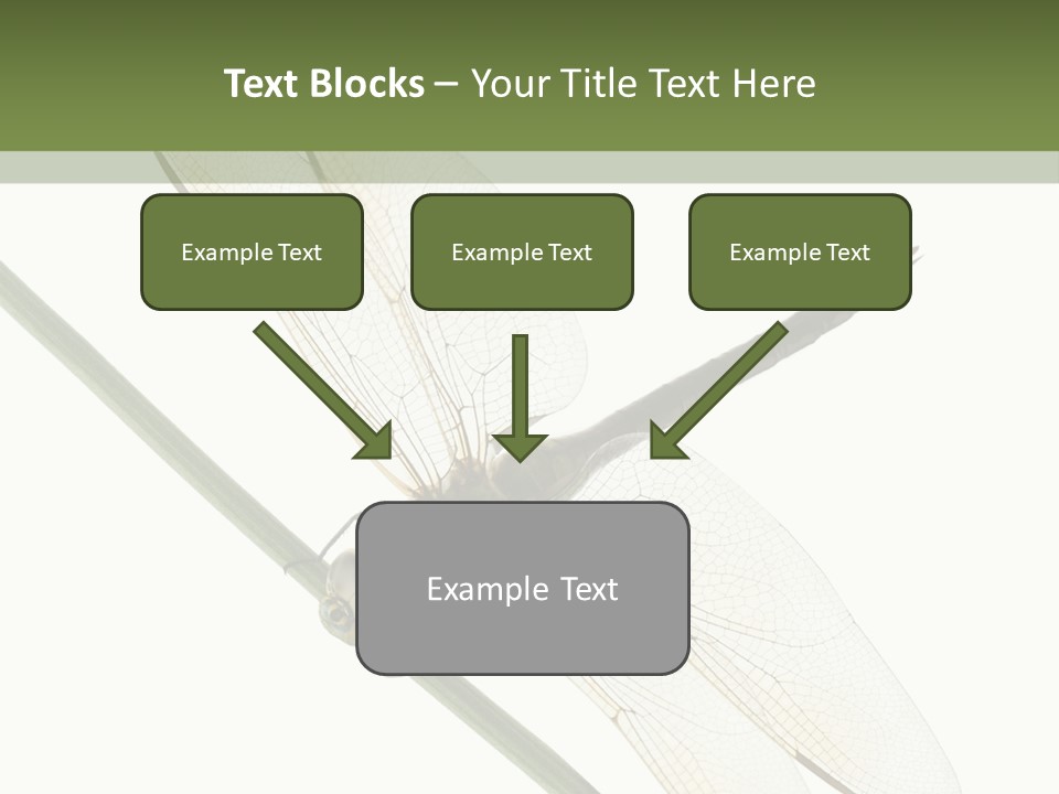 Shot Anax People PowerPoint Template